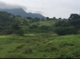  Terreno (Parcela) en venta en Calamba City, Calabarzon, Calamba City, Laguna, Calabarzon, Filipinas