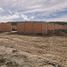  Land for rent in San Luis Potosi, San Luis Potosi, San Luis Potosi, San Luis Potosi
