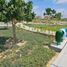  Terreno (Parcela) en venta en Castilla, Piura, Castilla, Piura, Piura