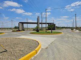  Terreno (Parcela) en venta en Castilla, Piura, Castilla, Piura, Piura