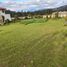  House for sale in Imbabura, Otavalo, Otavalo, Imbabura