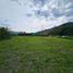  Land for sale in Dosquebradas, Risaralda, Dosquebradas