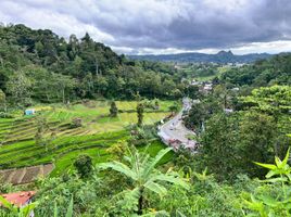 Land for sale in Tawang Mangu, Jawa Tengah, Tawang Mangu