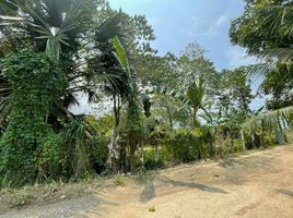  Terrain for sale in Consolacion, Cebu, Consolacion