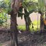  Terreno (Parcela) en venta en Quezon City, Metro Manila, Quezon City, Eastern District, Metro Manila