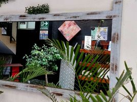 在墨西哥出售的 酒店, San Luis Potosi, San Luis Potosi, 墨西哥