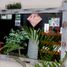  Hotel for sale in San Luis Potosi, San Luis Potosi, San Luis Potosi, San Luis Potosi
