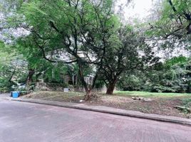  Land for sale in Muntinlupa City, Metro Manila, Muntinlupa City