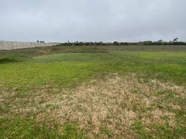  Land for sale in Mala, Lima, Mala