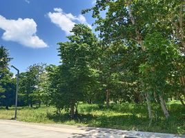  Grundstück zu verkaufen in San Juan, Calabarzon, San Juan, Batangas, Calabarzon, Philippinen