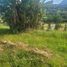  Land for sale in Talisay, Batangas, Talisay