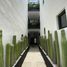 2 Bedroom Apartment for rent in Del Centro, Oaxaca, Del Centro