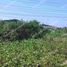  Land for sale in Samborondon, Guayas, Samborondon, Samborondon