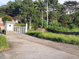  Land for sale in Amadeo, Cavite, Amadeo