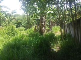  Land for sale in Negros Oriental Negros Island Region, Dumaguete City