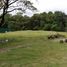  Terreno (Parcela) en venta en Santa Rosa City, Calabarzon, Santa Rosa City, Laguna