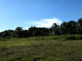  Land for sale in Dumanjug, Cebu, Dumanjug