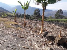  Land for sale in Malacatos Valladolid, Loja, Malacatos Valladolid, Loja, Loja
