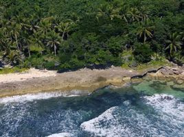  Grundstück zu verkaufen in Surigao del Norte, Caraga, San Isidro, Surigao del Norte