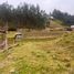  Land for sale in Deleg, Canar, Deleg, Deleg