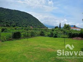  Grundstück zu verkaufen in Valle De Bravo, Mexico, Valle De Bravo
