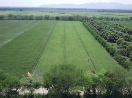  Land for sale in Tolima, Melgar, Tolima