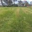  Land for sale in San Juan De Iluman, Otavalo, San Juan De Iluman