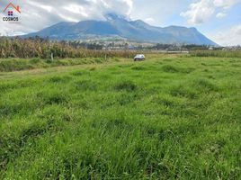  Grundstück zu verkaufen in Otavalo, Imbabura, San Juan De Iluman