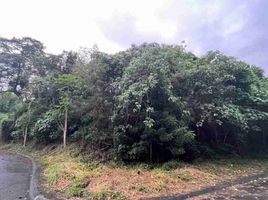  Terreno (Parcela) en venta en Muntinlupa City, Metro Manila, Muntinlupa City, Southern District, Metro Manila