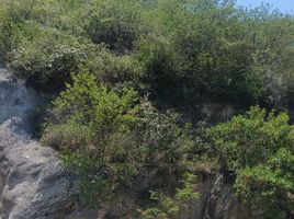  Grundstück zu verkaufen in Monterrey, Nuevo Leon, Monterrey