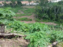  Terreno (Parcela) en venta en Huánuco, Yuyapichis, Puerto Inca, Huánuco