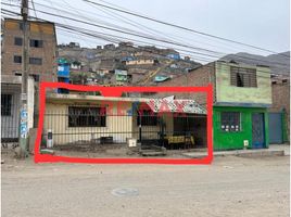  Grundstück zu verkaufen in Comas, Lima, Comas, Lima, Lima, Peru