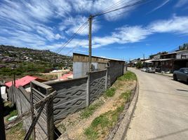  Land for sale in Chile, Tome, Concepción, Biobío, Chile