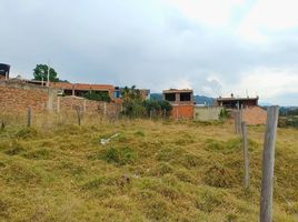  Terrain for sale in Boyaca, Paipa, Boyaca