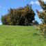  Terreno (Parcela) en venta en Chile, Temuco, Cautín, Araucanía, Chile