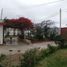  Land for sale in Chilca, Lima, Chilca