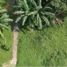  Terreno (Parcela) en venta en Antipolo City, Calabarzon, Antipolo City, Rizal