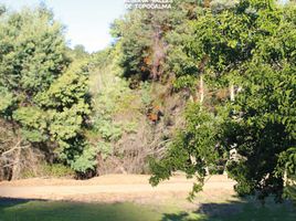  Terreno (Parcela) en venta en Navidad, Cardenal Caro, Navidad