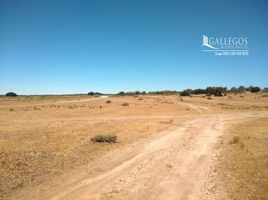  Terrain for sale in Tecate, Baja California, Tecate