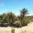  Grundstück zu verkaufen in Tecate, Baja California, Tecate, Baja California