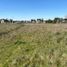  Land for sale in Chile, Nueva Imperial, Cautin, Araucania, Chile