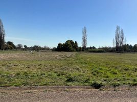  Land for sale in Chile, Nueva Imperial, Cautin, Araucania, Chile
