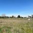  Land for sale in Chile, Nueva Imperial, Cautin, Araucania, Chile