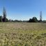  Land for sale in Chile, Nueva Imperial, Cautin, Araucania, Chile