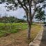  Land for sale in Calamba City, Calabarzon, Calamba City