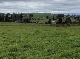  Terrain for sale in Llanquihue, Los Lagos, Puerto Varas, Llanquihue