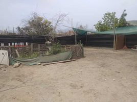  Terreno (Parcela) en venta en Lima, Asia, Cañete, Lima