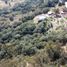  Land for sale in Jilotzingo, Mexico, Jilotzingo