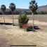  Land for sale in Acatlan De Juarez, Jalisco, Acatlan De Juarez