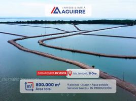  Terreno (Parcela) en venta en Lago Agrio, Sucumbios, Jambeli, Lago Agrio